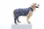 Roupa Pós-Cirúrgica para Pets - Membros Posteriores - comprar online