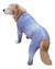 Imagem do Roupa Pós-Cirúrgica para Pets - Membros Anteriores e Posteriores - (13-15)