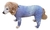 Roupa Pós-Cirúrgica para Pets - Membros Anteriores e Posteriores - (13-15) - loja online