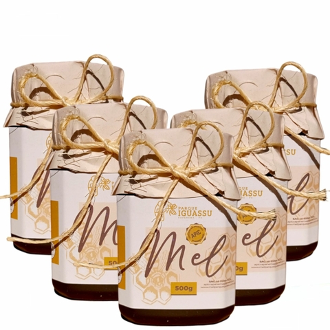 Mel De Abelha 500g 100% Puro Silvestre Parque Do Iguassú