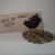 Gatto Karino Catnip Erva do Gatto - 100% Orgânica Erva Gateira Desidratada - loja online