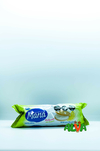 Galletitas MANA vainilla rellena limón 152G