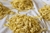Pastas secas