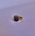 ANILLO SOY FUEGO AZUL - comprar online