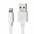 Cable de conector Lightning a USB (1 m) Apple AAA - comprar online