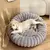 Cama Dream - comprar online