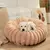 Cama Dream - loja online