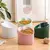 Tigela LovePet - comprar online