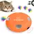 Brinquedo Smart Hunt