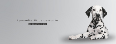 Carrossel 1