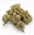 x7 BANANA BLAZE AUTO (7 semillas) en internet