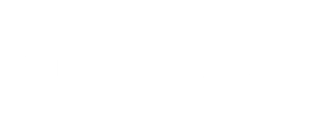 Virallis Custom