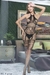 BODY DE RED F2112 - comprar en línea