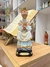 Nossa Senhora da Salette - Resina Importada - 20 cm - comprar online