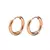 Brincos Argol - comprar online