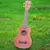 Ukulele Sapele Soprano para Iniciantes 21 polegada - Loja Shoptando