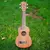 Ukulele Sapele Soprano para Iniciantes 21 polegada na internet