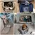 Bolsa para transporte de Pets - Pet Bag Cinza - Leald Ofertas