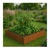 HUERTA Cuadrada - comprar online