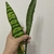 Espada de São Jorge na internet