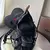 Mochila Rucksack Preto - comprar online
