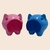 Chancho Alcancia