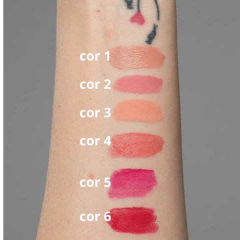 BLUSH & LIP GLOSS 2 EM 1 SARAH'S BEAUTY LANÇAMENTO