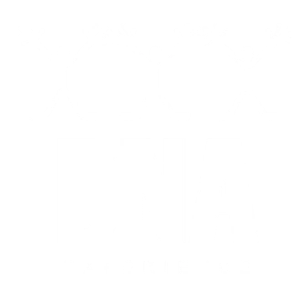 DNA Experience Style