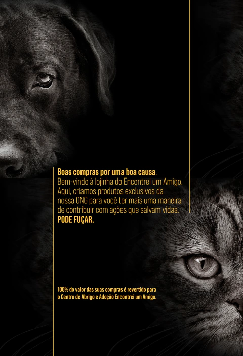 Carrossel 1