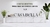 Carrusel 1