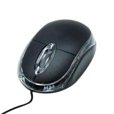 Mouse TAJA