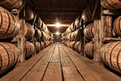Banner de la categoría Vinos