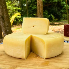 Queijo canastra meia cura 1,2kg - comprar online