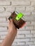 Bille snap - comprar online