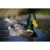 Câmera Nikon Z50 II Mirrorless com lente Z DX 16-50mm f/3.5-6.3 VR - CHYK FOTO E VIDEO