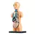 LAB CORPO HUMANO