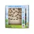 Kit Jogo De Equilíbrio Dos Dinossauros Para Colorir - LATHITHA