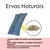 Acessorios - Faixa Abdominal Ervas (10X55Cm) Rosa Bebê Ean :7898358387446 - LATHITHA
