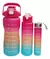 BOTELLAS MOTIVACIONALES 3 EN 1 KIT 2l / 900ml / 300ml en internet