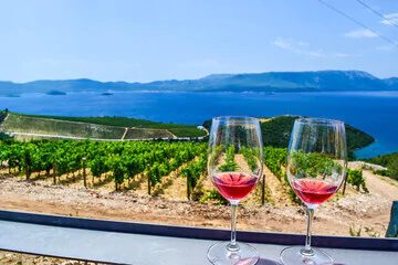 viajerowines