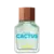 Green Cactus for Him United Dreams Benetton Eau de Toilette - Perfume Masculino
