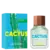 Green Cactus for Him United Dreams Benetton Eau de Toilette - Perfume Masculino - comprar online