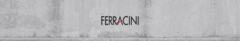 Banner da categoria FERRACINI