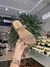BEIRA RIO SANDALIA IBIZA TIRA PRONTA CREME 1031/LIGHT PEACH/LIGHT PEACH/CHAMPANHE - comprar online