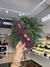 SUA CIA - RASTEIRA FEMININA NP SOFT CABERNET 203.0060 - comprar online