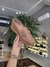 MOLECA MOCASSIM NAPA TURIM 5823.101 - NUDE - comprar online