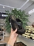 MARIOTTA - PLATAFORMA NAPA LIKE PRETO - comprar online
