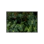 Verde Hibisco - comprar online