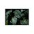 Natureza Viva - loja online