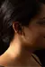 Imagem do Piercing Harpa